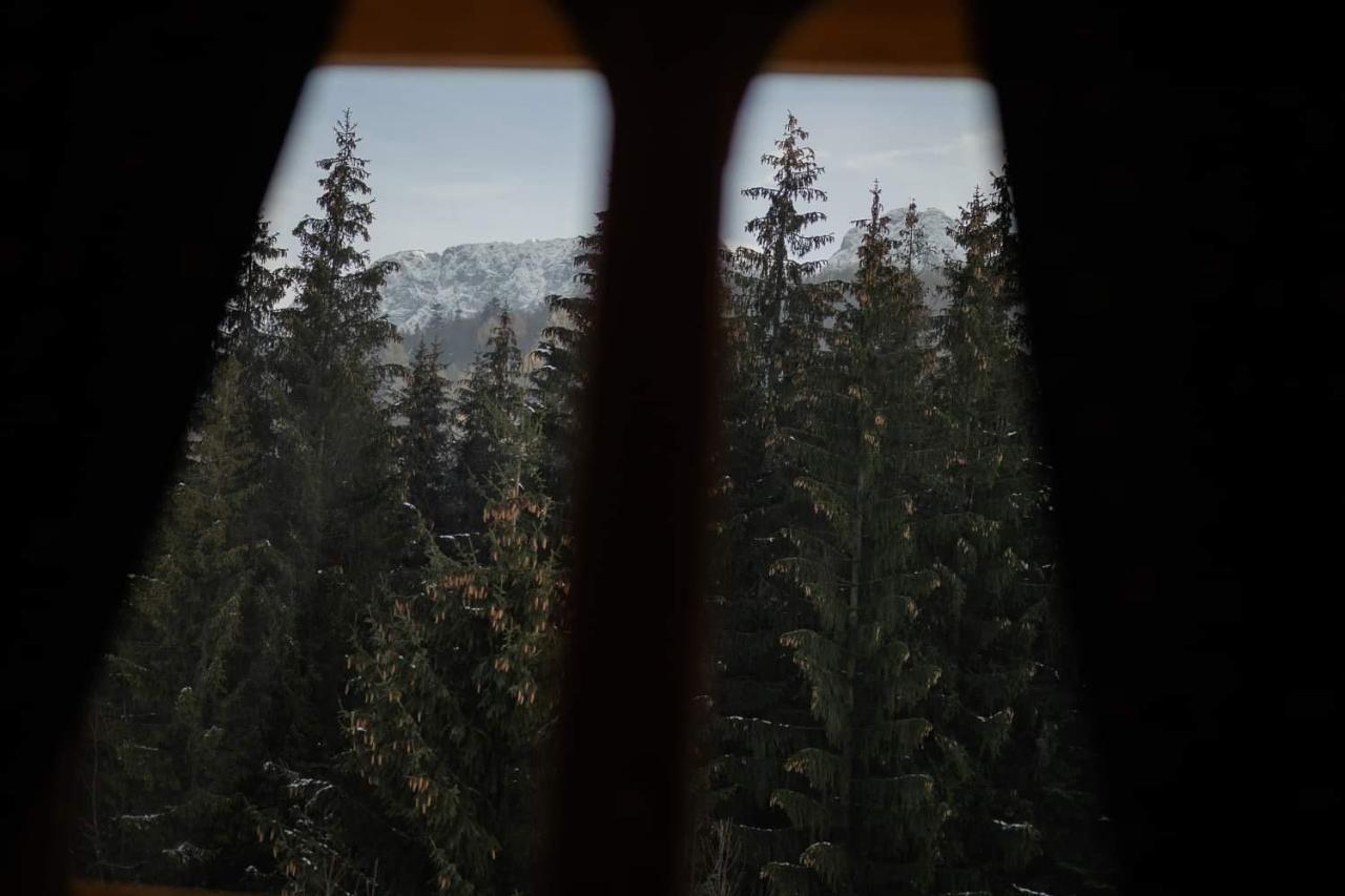 Chata Tatritis Kościelisko Esterno foto